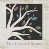 Absorbent Stone Coaster - Square - Beige Marble