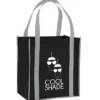 Accent Handle Grocery Bag - 24 hr