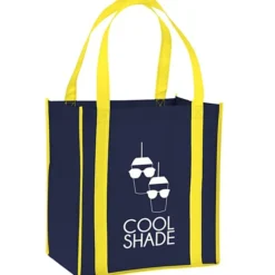 Accent Handle Grocery Bag - 24 hr