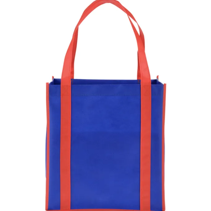 Accent Handle Grocery Bag - 24 hr
