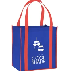 Accent Handle Grocery Bag - 24 hr