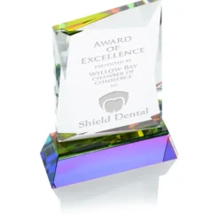 Achievement Crystal Award - 7 inches - 24 hr