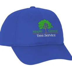 Active Poly Cap