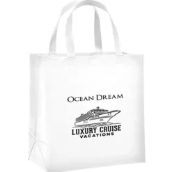 Adams Shopper Tote - 13 inches x 12 inches - 24 hr