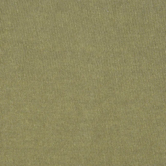 American Apparel Garment-Dyed Heavyweight Cotton T-Shirt