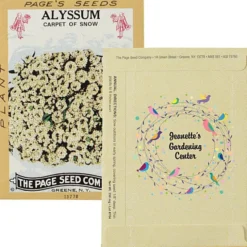 Antique Series Seed Packet - Alyssum