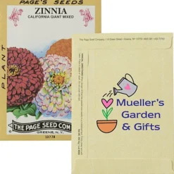 Antique Series Seed Packet - Giant Zinnia