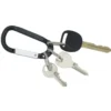 Arctic Carabiner Keychain