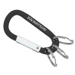 Arctic Carabiner Keychain