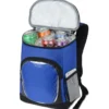 Arctic Zone 18-Can Backpack Cooler