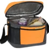 Aspen Lunch Cooler - 24 hr