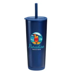 Astrid Vacuum Tumbler with Straw - 24 oz