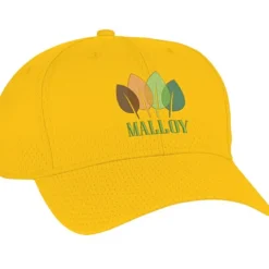 Athletic Mesh Cap