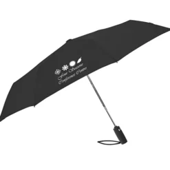 Auto Open / Close Compact Travel Umbrella - 42-inch Arc