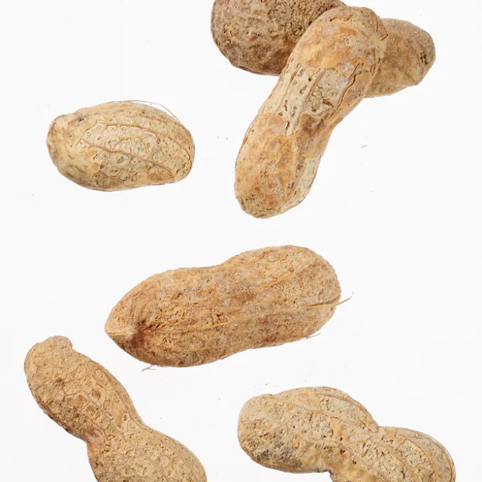 Ballpark Peanuts - 3 oz - White Bag