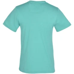 Bella+Canvas Tri-Blend T-Shirt - Men's - Screen