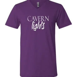 Bella+Canvas V-Neck T-Shirt - Men's - Screen