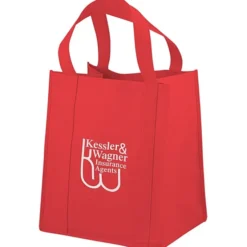 Big Thunder Tote - 15 inches x 13 inches
