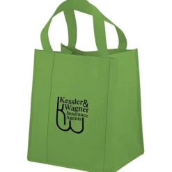 Big Thunder Tote - 15 inches x 13 inches