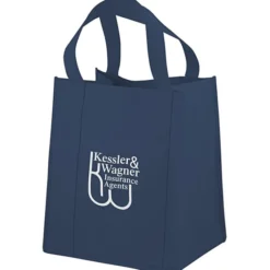 Big Thunder Tote - 15 inches x 13 inches