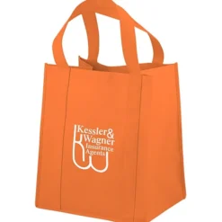 Big Thunder Tote - 15 inches x 13 inches