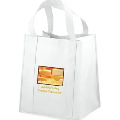 Big Thunder Tote - 15 inches x 13 inches - Full Color