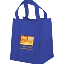 Big Thunder Tote - 15 inches x 13 inches - Full Color