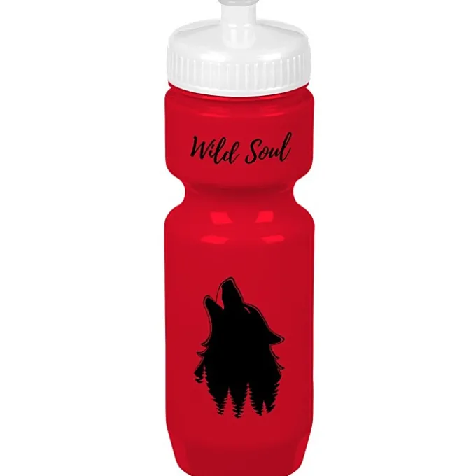 Bike Bottle - 22 oz