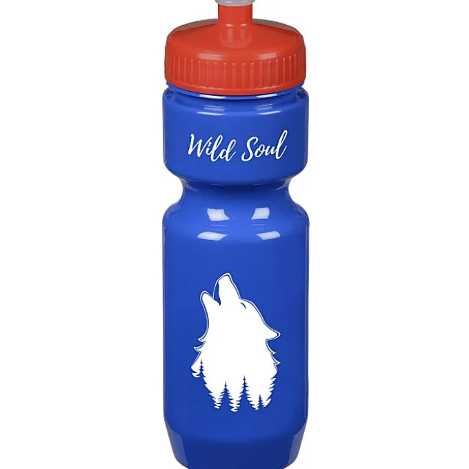 Bike Bottle - 22 oz