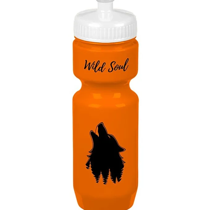 Bike Bottle - 22 oz