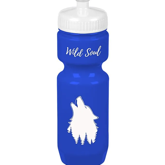 Bike Bottle - 22 oz