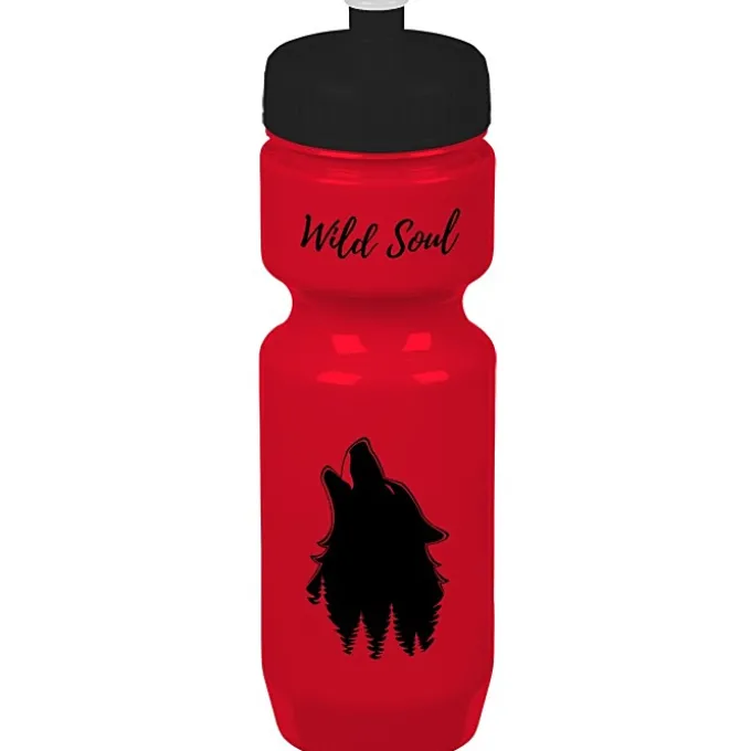 Bike Bottle - 22 oz