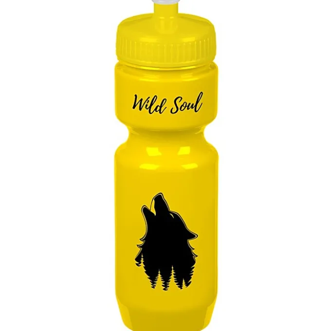 Bike Bottle - 22 oz