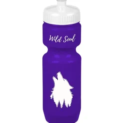 Bike Bottle - 22 oz