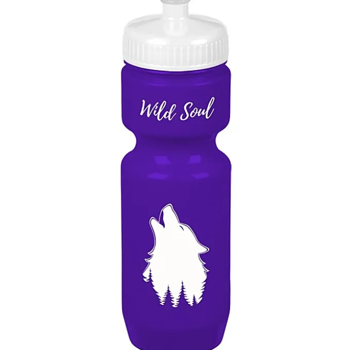 Bike Bottle - 22 oz