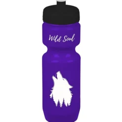 Bike Bottle - 22 oz