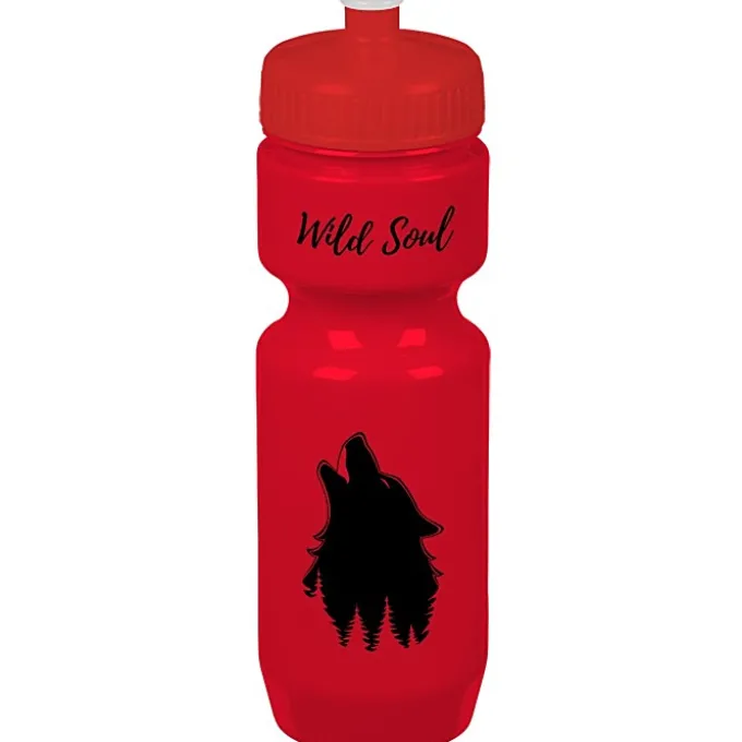 Bike Bottle - 22 oz