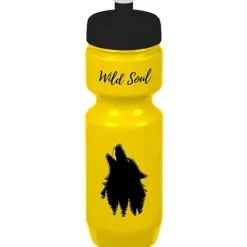 Bike Bottle - 22 oz