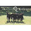 Billboard Magnet - 30 mil - 3 inches x 5 inches - Round Corners - 24 hr