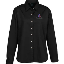 Blue Generation LS Stain-Resistant Twill Shirt - Ladies'