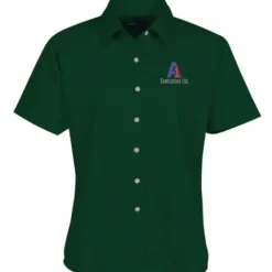 Blue Generation SS Stain-Resistant Twill Shirt - Ladies'