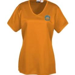 BLU-X-DRI Stain Release Performance T-Shirt - Ladies' - Embroidered