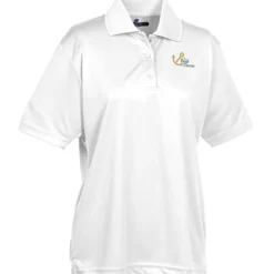 BLU-X-DRI Stain Release Performance Polo - Ladies' - Embroidered