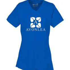 Boston V-Neck Training Tech Tee - Ladies'