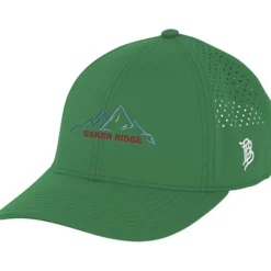Branded Bills Bare Curved Performance Cap