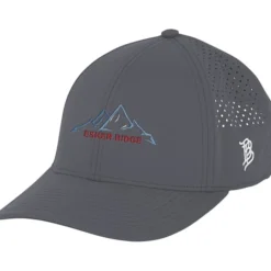 Branded Bills Bare Curved Performance Cap