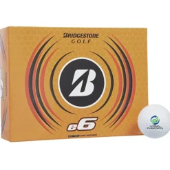 Bridgestone E6 Golf Ball - Dozen