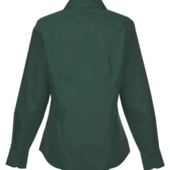 Brooks Brothers Wrinkle Free Stretch Nailhead Shirt - Ladies'
