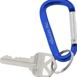 Carabiner Keychain