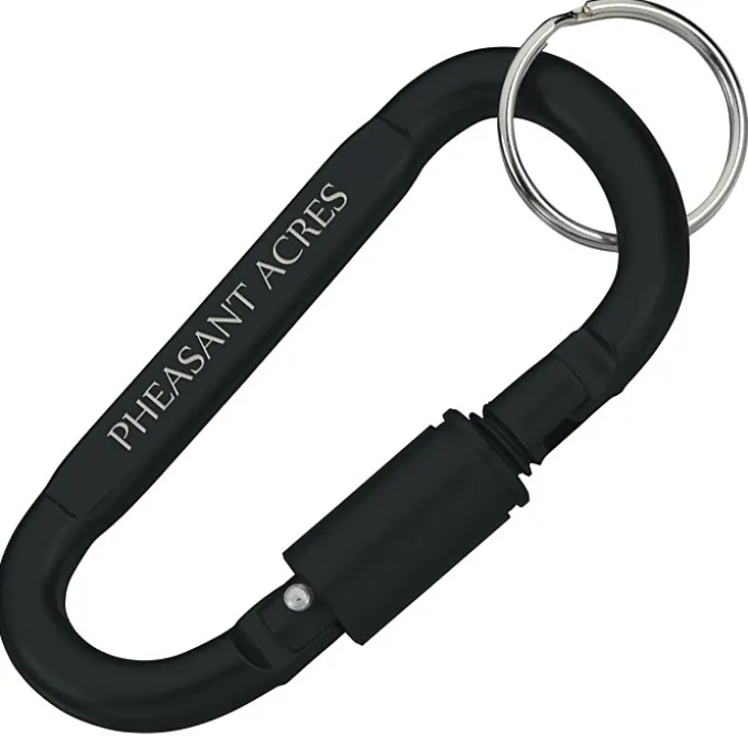 Carabiner Lock Keychain